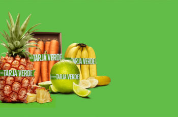 Alimentos Tarja Verde no combate a obesidade